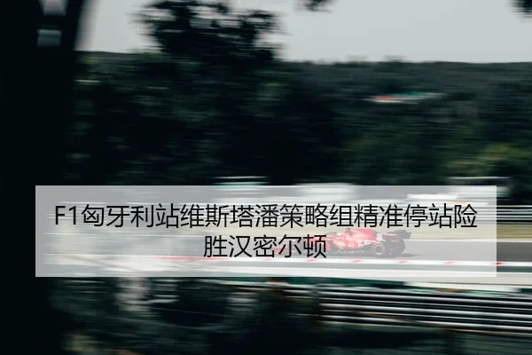 xiong-ya-li-zhan-wei-si-ta-pan-ce-lve-zu-jing-zhun-ting-zhan-xian-sheng-han-mi-er-dun-2-798.jpg